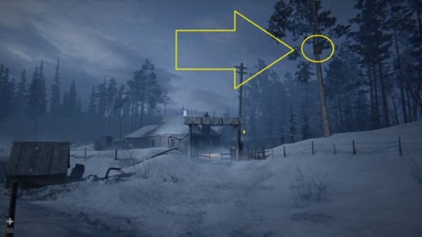 Hail to the Rainbow Guide: How to Find All QR Codes, Gallery Images, and Get the Archivist Achievement