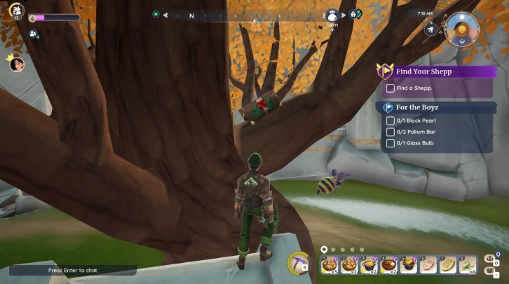 Where to Find All Winter Lights Chests in Palia: A Complete Guide to Zeki's Challenge