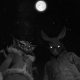 Tiny Bunny Guide: How to Guarantee the True Detective 5 Achievement