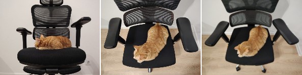 FoxGear NETZ Model X Ergonomic Chair