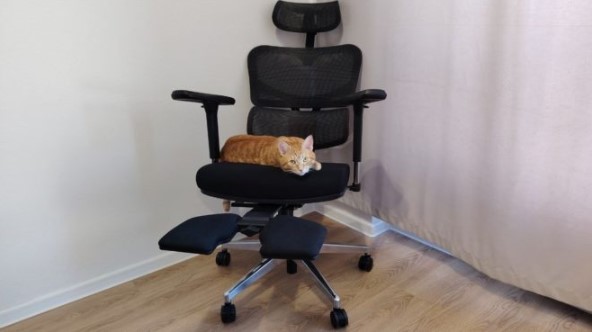 FoxGear NETZ Model X Ergonomic Chair
