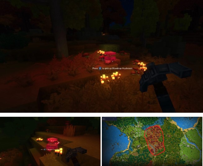 Hytale Guide: How to Farm Azure, Blood, and Storm Petals