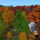 Where to find all types of wood in Hytale: a complete location guide