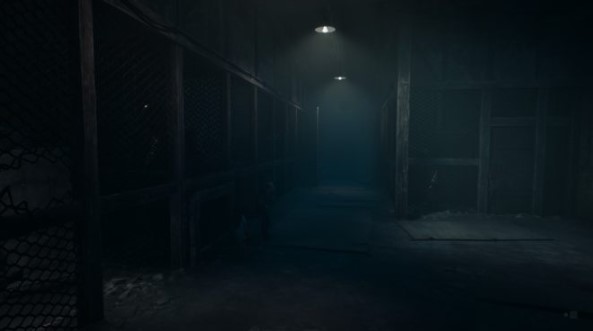 REANIMAL Guide – All Chapter 2 Secrets and Collectibles