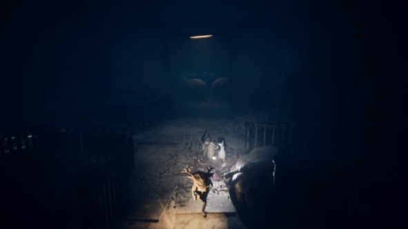 REANIMAL Guide – All Chapter 3 Secrets and Collectibles