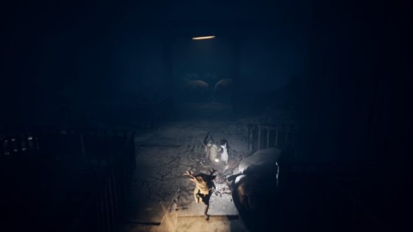 REANIMAL Guide – All Chapter 3 Secrets and Collectibles