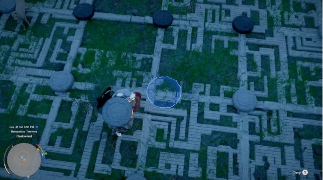 Crimson Desert Guide: How to Complete the Waterside Ruins in Dark Forest (Checkers Puzzle)