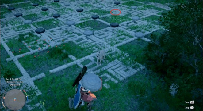 Crimson Desert Guide: How to Complete the Waterside Ruins in Dark Forest (Checkers Puzzle)