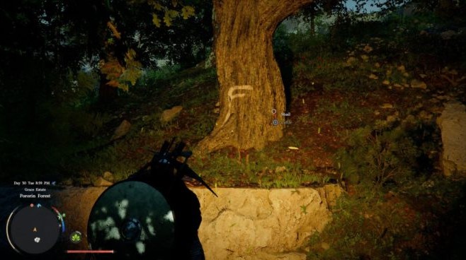 Crimson Desert Guide: How to Beat the Azure Moon Labyrinth